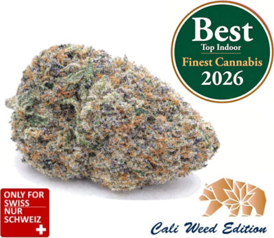 Runtz CBD Blüten