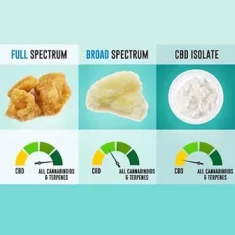 CBD Isolat kaufen