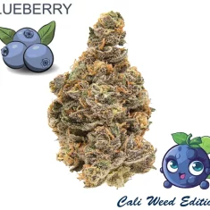 thcp-blueten-kaufen-Blueberry